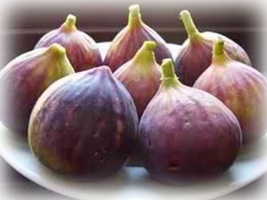 figsdark