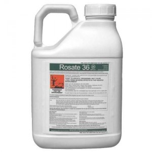 glyphosphate